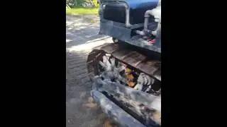 Caterpillar thirty update