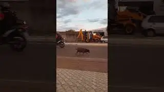Sandr&atilde;o, sou de rua 01