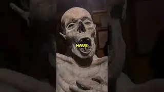 Museum of the Weird 😱