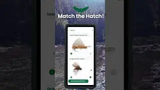 SnapHatch - Fly Fishing Guide