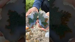 Discovery of moss agate, Nature motif. #agate #mossagate #crystals #jade