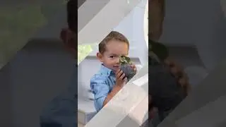 Dyrk sunn mat hjemme