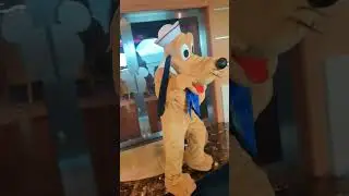 Pluto on Disney Cruise #disney #character