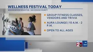 Wellness festival Saturday in Wedgewood Houston