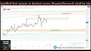 20/02/2024 - Gold Market Forecast & Funded Account Live Trade FTMO FundedNext (Day 1: +0.47%)