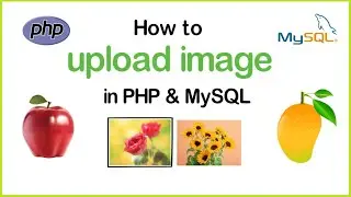 How to upload image in PHP and MySQL | Upload file in PHP | Upload images in PHP