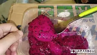 Videa Makan Buah Naga