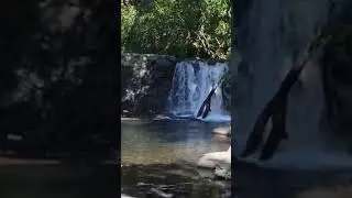 chasing waterfalls with adam the woo