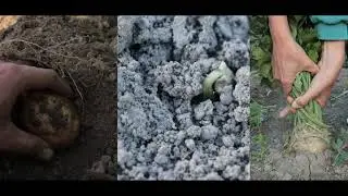 Solo Gardening Episode 1
