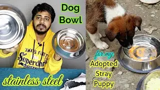 Meat Up Stainless Steel Dog Feeding Bowl, Medium - 700ml | Dog bowl for my adopted puppy