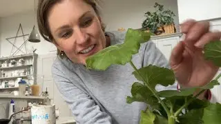 Садоводство дома | Черенки герани 🍃 Уход за домашними животными и садом 🪴