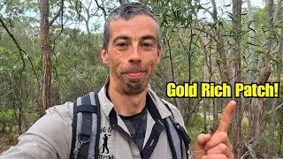 Metal Detecting New Patch Of Gold👌