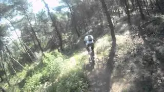 downhill/XC Aigalew