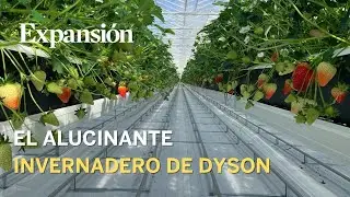 De aspiradores a fresas: as&iacute; es el s&uacute;per invernadero robotizado de Dyson