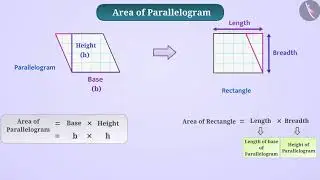 Area of a parallelogram | Part 1/3 | English | Class 7