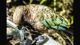 Photography tour of New Zealand 2013