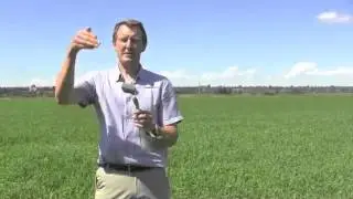 Wheat School- Keys to Successful Fusarium Fungicide Application