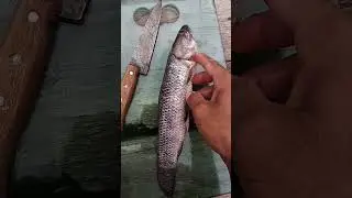 fil&eacute; de tra&iacute;ra tutorial #shorts