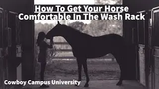 How To Get Your Horse Comfortable In The Wash Rack