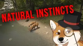 One Minute Reviews | Natural Instincts
