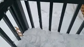 Шпаклевка для дерева и краска для террас Elmer's долго на нашем столе не задерживаются. Вот почему.