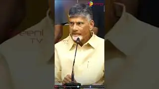 Chandrababu Naidu Super Fire on Ys Jagan and  Ycp Leaders || @sreeninews