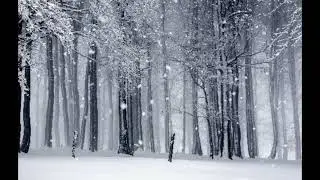 Romanza d'inverno. Federico Buonocore
