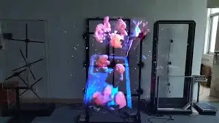 65F 3D hologram fan show