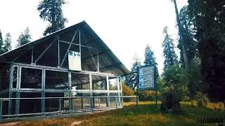THE MUSHKPURI TRACK OF NATHIAGALI