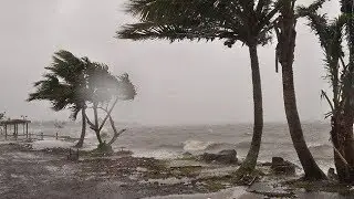 Precautions for Cyclone, Hurricane or Typhoon.