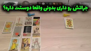شراره تاروت کوچینگ - جراتش رو داری بدونی واقعا دوستت داره؟