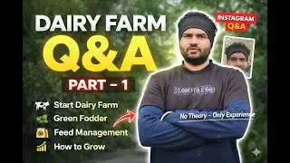 Dairy Farm Q&A Part 1 | How to Start, Feed & Grow a Profitable Dairy Farm #dairyfarm