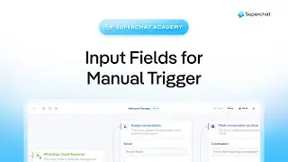 Input Fields for Manual Trigger