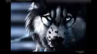 Rise-Skillet (Wolf Anime)