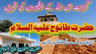 The Grave of God's prophet in Gujrat Pakistan | Hazrat Tanookh A.S | PDNC pakistan||eid2024||qurban