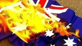 So our Politicians think it is Ok to burn the flag do they?