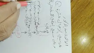 ح ( ٢ ) دورة الميراث  . عدد الوارثين من الذكور والإناث