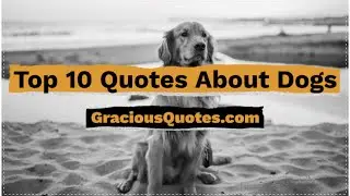 Top 10 Quotes About Dogs - Gracious Quotes