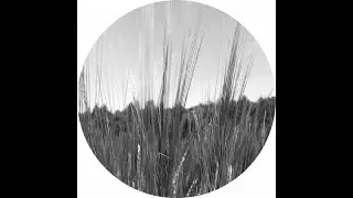 Reggy Van Oers - Reciprocity (Affin 038 LTD)