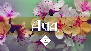 Traditional Japanese Instrumental Music: Dramatic Asian Music with Koto for Travel Vlogs & YouTube
