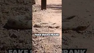 Fake Snake Prank! 🐍