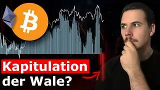 Krypto: Wale Rutschen in den Milliarden-VERLUST!