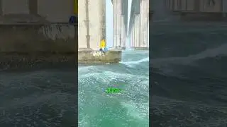 Why Engineers Call Underwater Bridge Piers a Nightmare Project 🌊#Engineering#construction #bridge