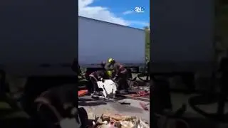 Florida Truck Crash, Indian Driver, 3 Dead, Immigration Backlash, Deportation & Political Blame Game