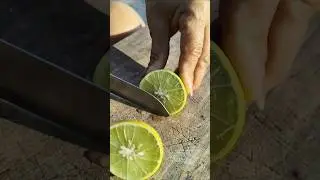 Harvest and cut limes #asmr #harvesting #limes #vegetables #gardening #cuttingart