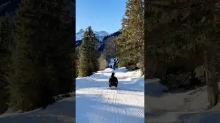 6 Amazing Sledding Runs in Switzerland 🛷🇨🇭 #switzerland #sledding #snow