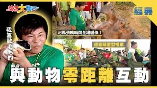 【綜藝大集合 經典】與動物零距離互動🐾會呼吸的石頭竟然是超大隻烏龜🐢！！ 台中 2026.1.31