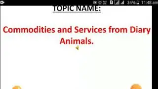 Commodities and services from Dairy Animals by Tahira Majeed