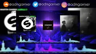 Martin Garrix vs Loopers - Animals vs Game Over (Tomorrowland Mashup) | AdmGarrixer Remake (HQ)