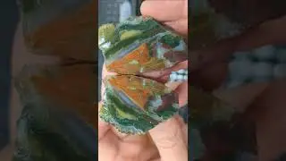 Green, Red and Orange Agate Cut Open.